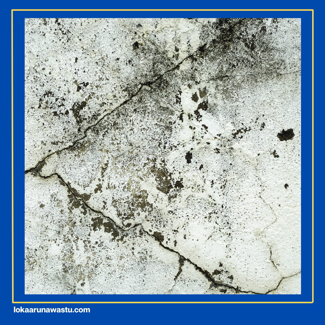 Bau Apek atau Berjamur