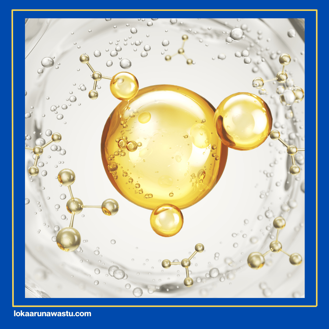 Cara Penggunaan dan Proses Aplikasi