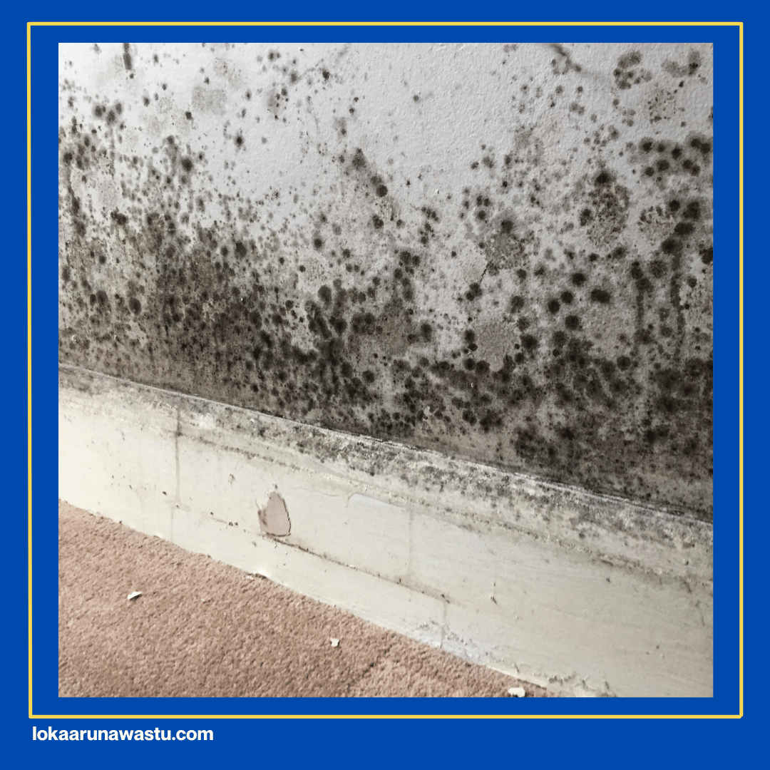 Identifikasi Penyebab Secara Detail